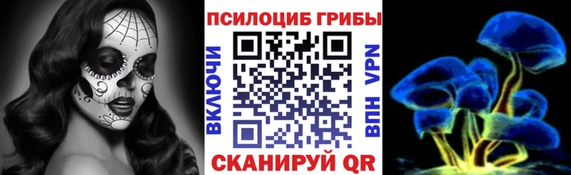 наркота  Выкса  Псилоцибиновые грибы Magic Shrooms 